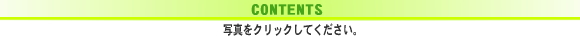 CONTENTS