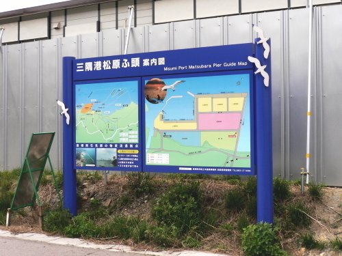 ������������Ƭ